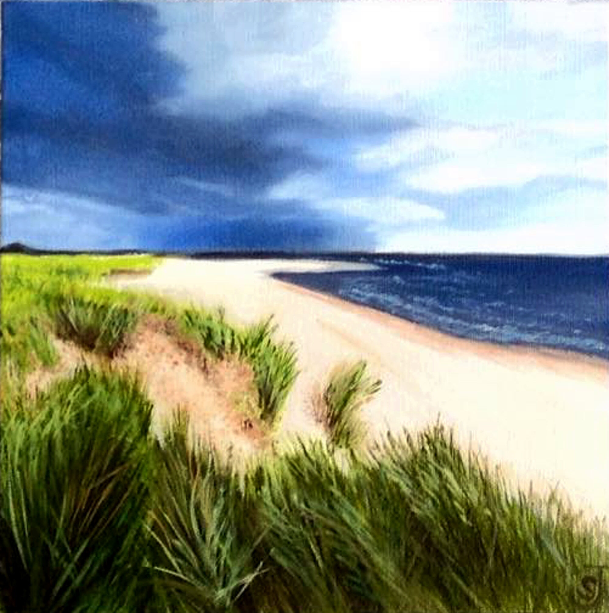 acrylic painting of beach and tussocky dunes by artist Shona Jones